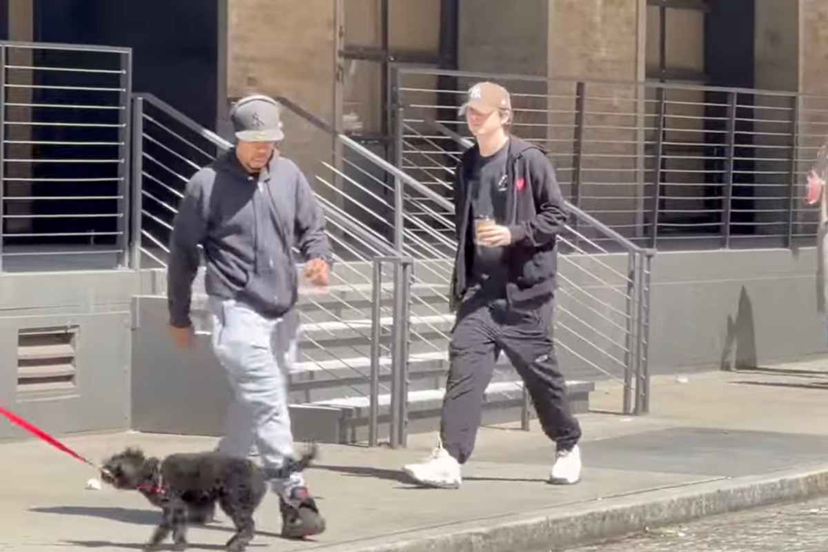 Timothée Chalamet in giro per New York