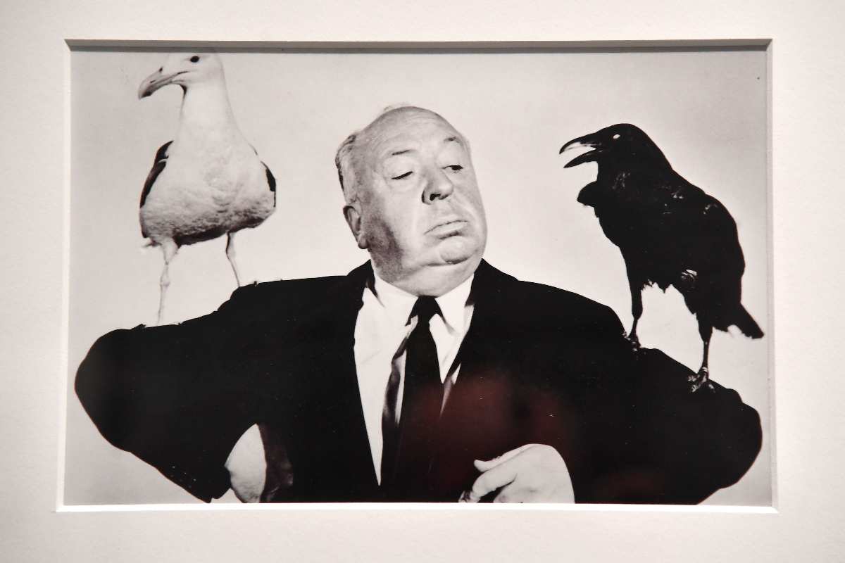 Il regista Alfred Hitchcok con due uccelli sulla spalla