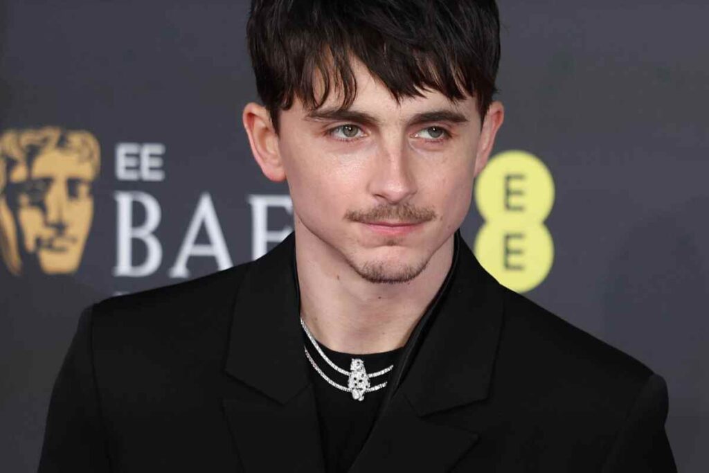 Primo piano di Timothée Chalamet