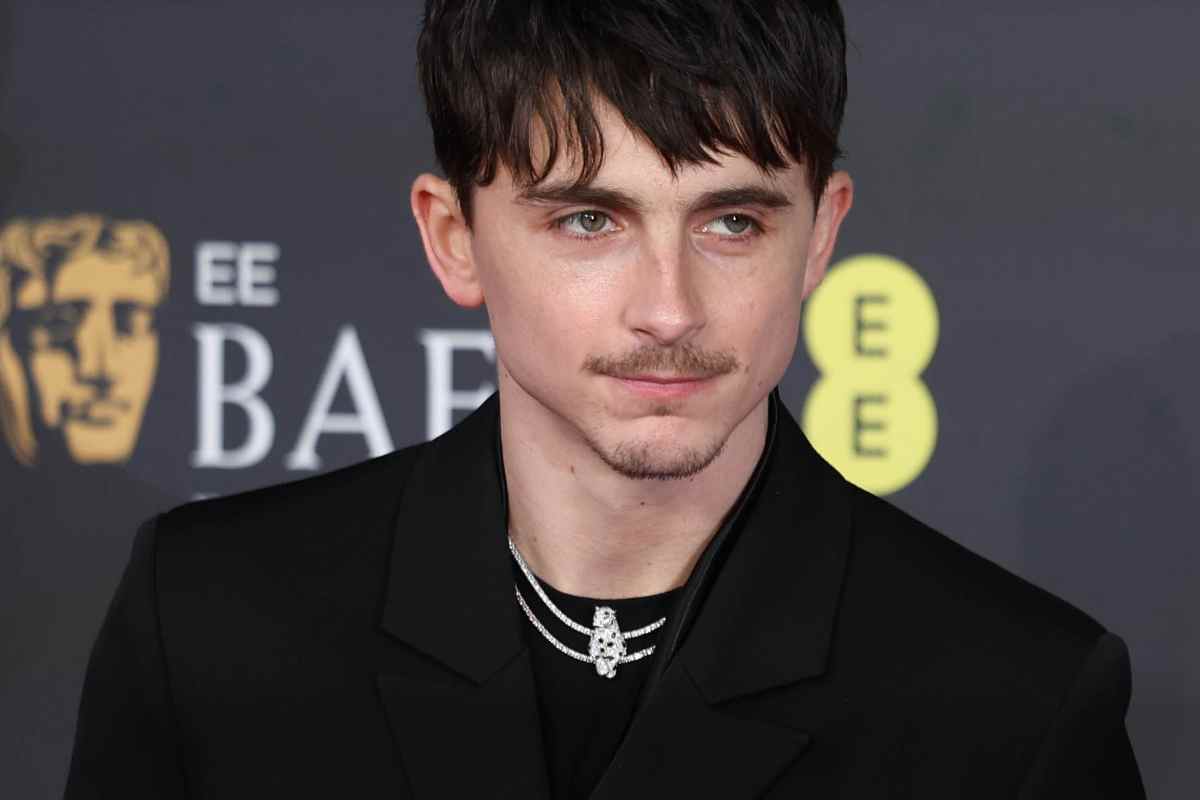 Primo piano di Timothée Chalamet