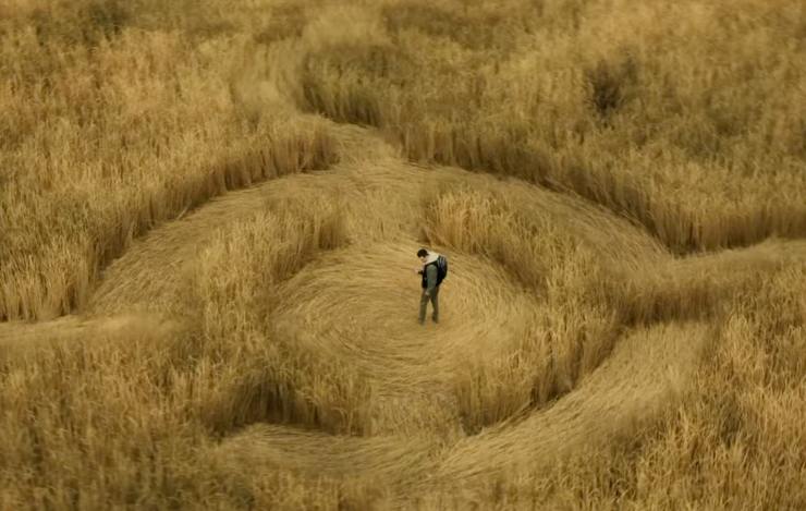 Un ragazzo in un campo di grano con i tipici segni degli alieni