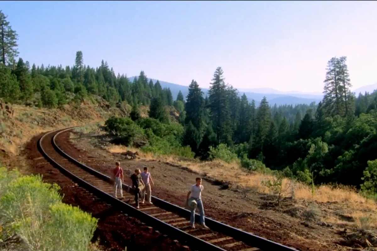 Quattro ragazzi i boschi intorno e i binari di un treno