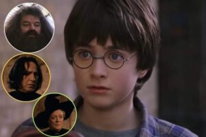 Il volto di Daniel Redcliff nei panni di Harry Potter e in tre tondi diversi tre volti importanti del cast: Maggie Smith Alan Rickman e Robbie Coltran