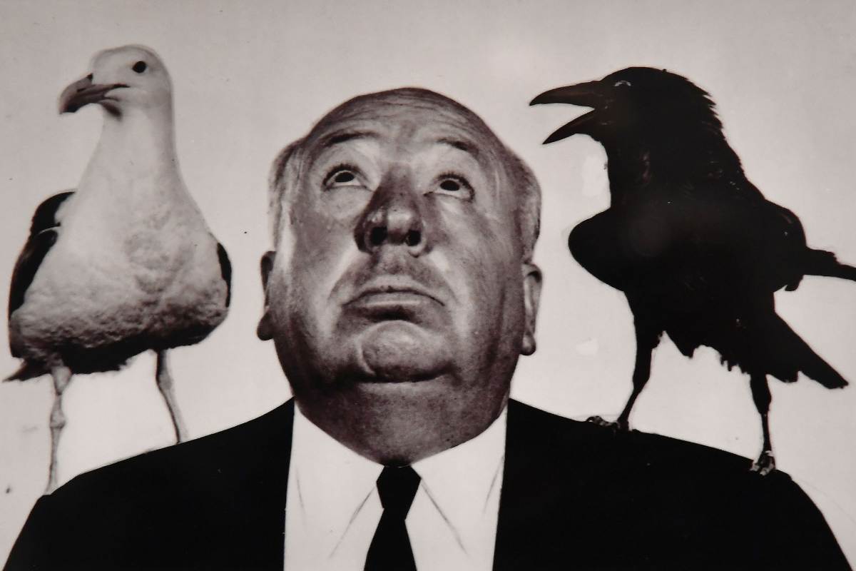 Alfred Hitchcock con un gabbiano e un corvo sulla spalla